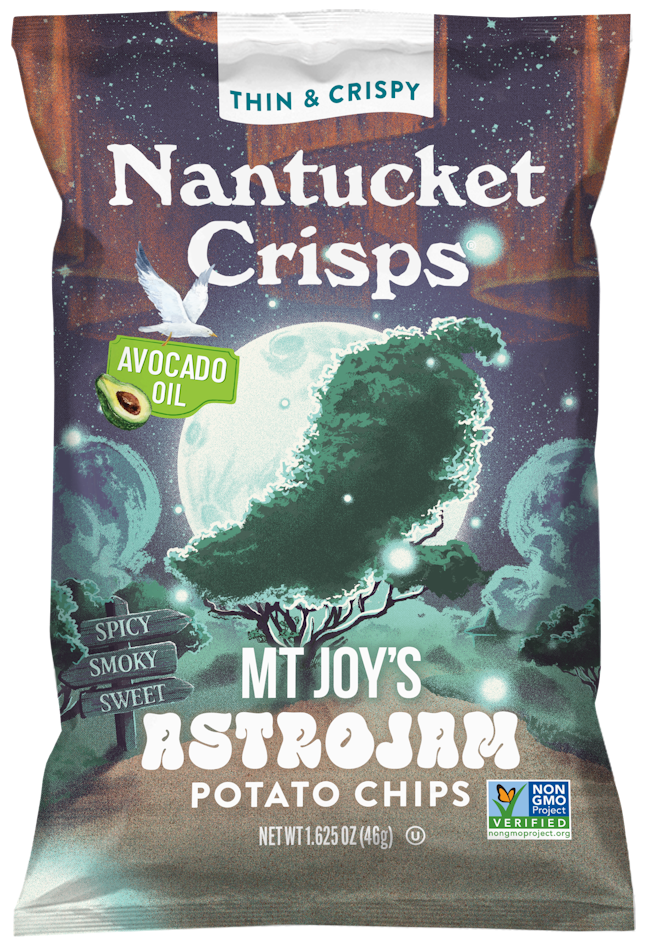 Mt. Joy Astrojam